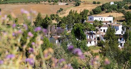 Málaga Sierra de las Nieves Real Spain Adults Recommended