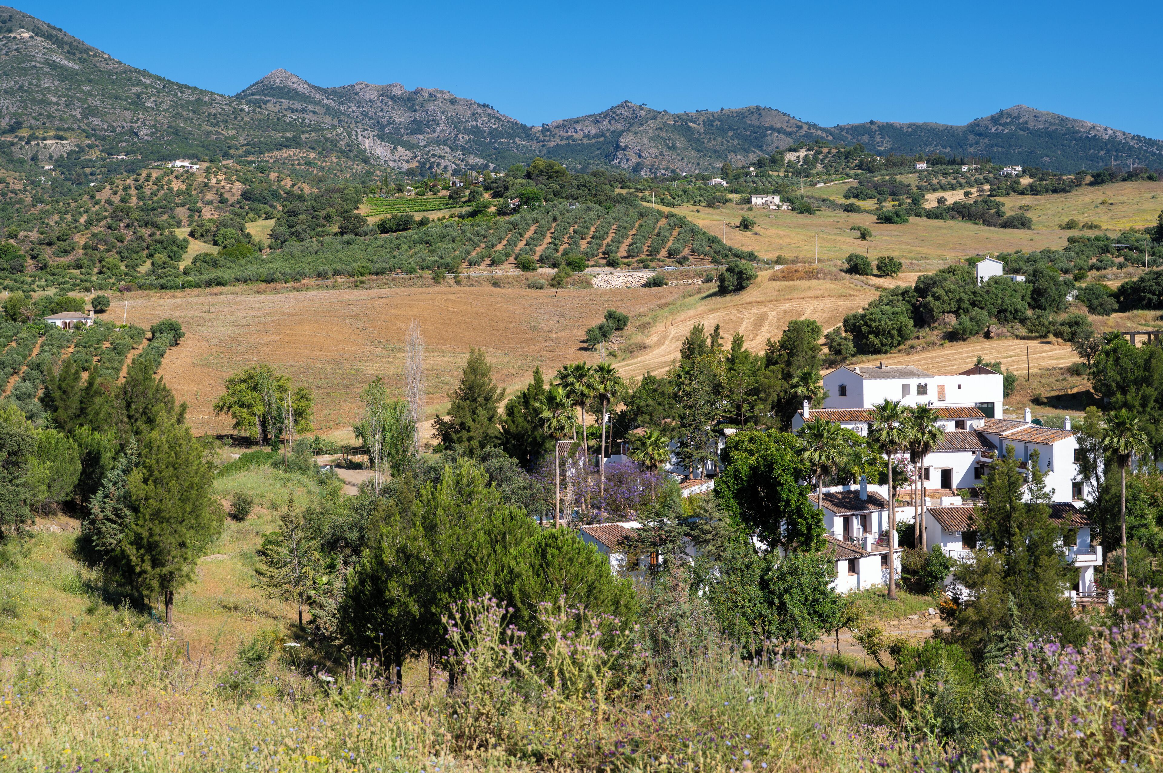 Un pueblo rural con casas blancas, un viñedo y montañas al fondo.