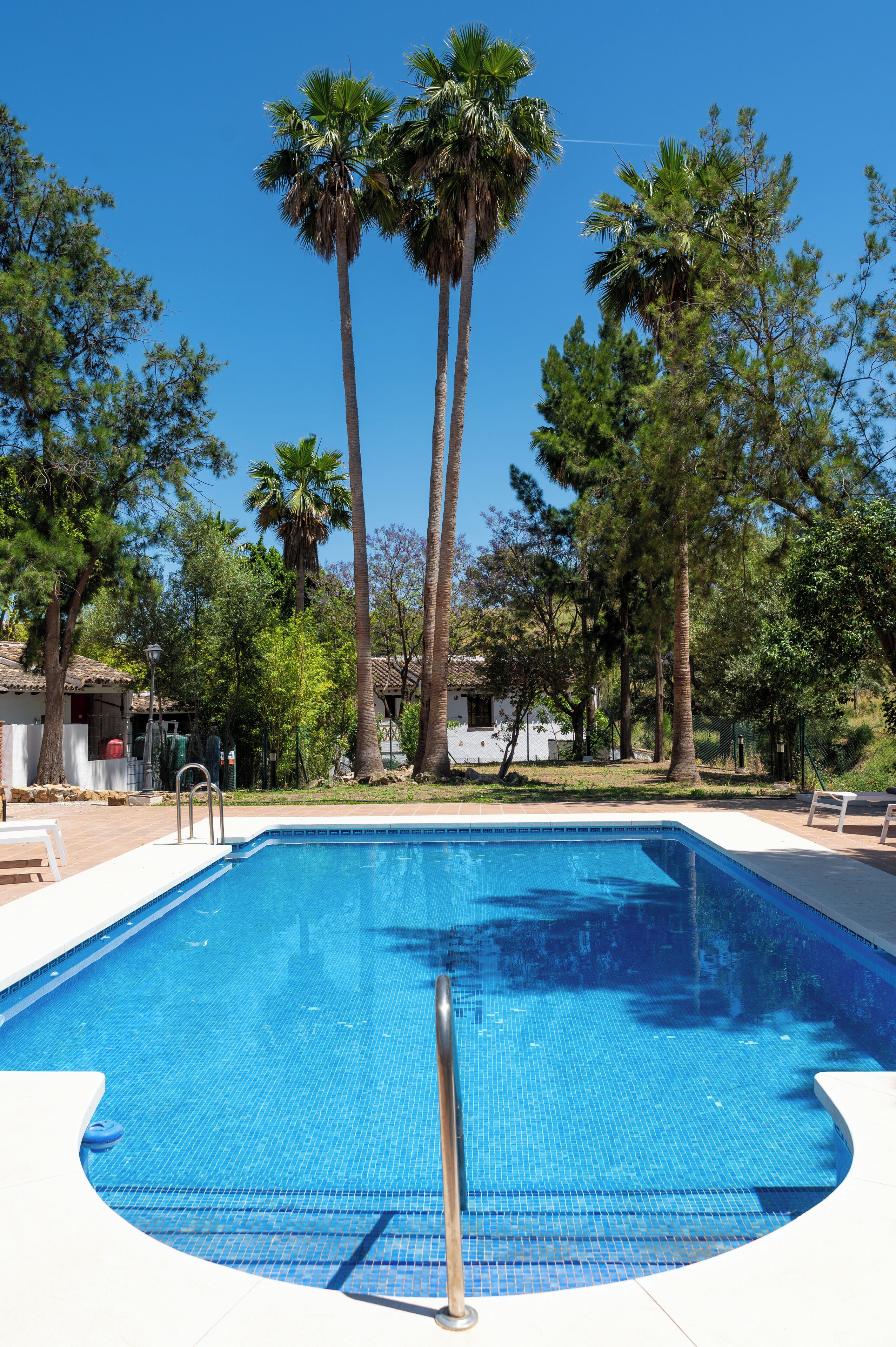 Una piscina con agua cristalina azul, rodeada de árboles y un edificio al fondo.