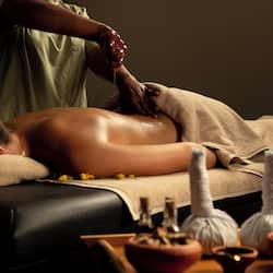 Detox wraps, facials, Ayurvedic treatments, 1 treatment room