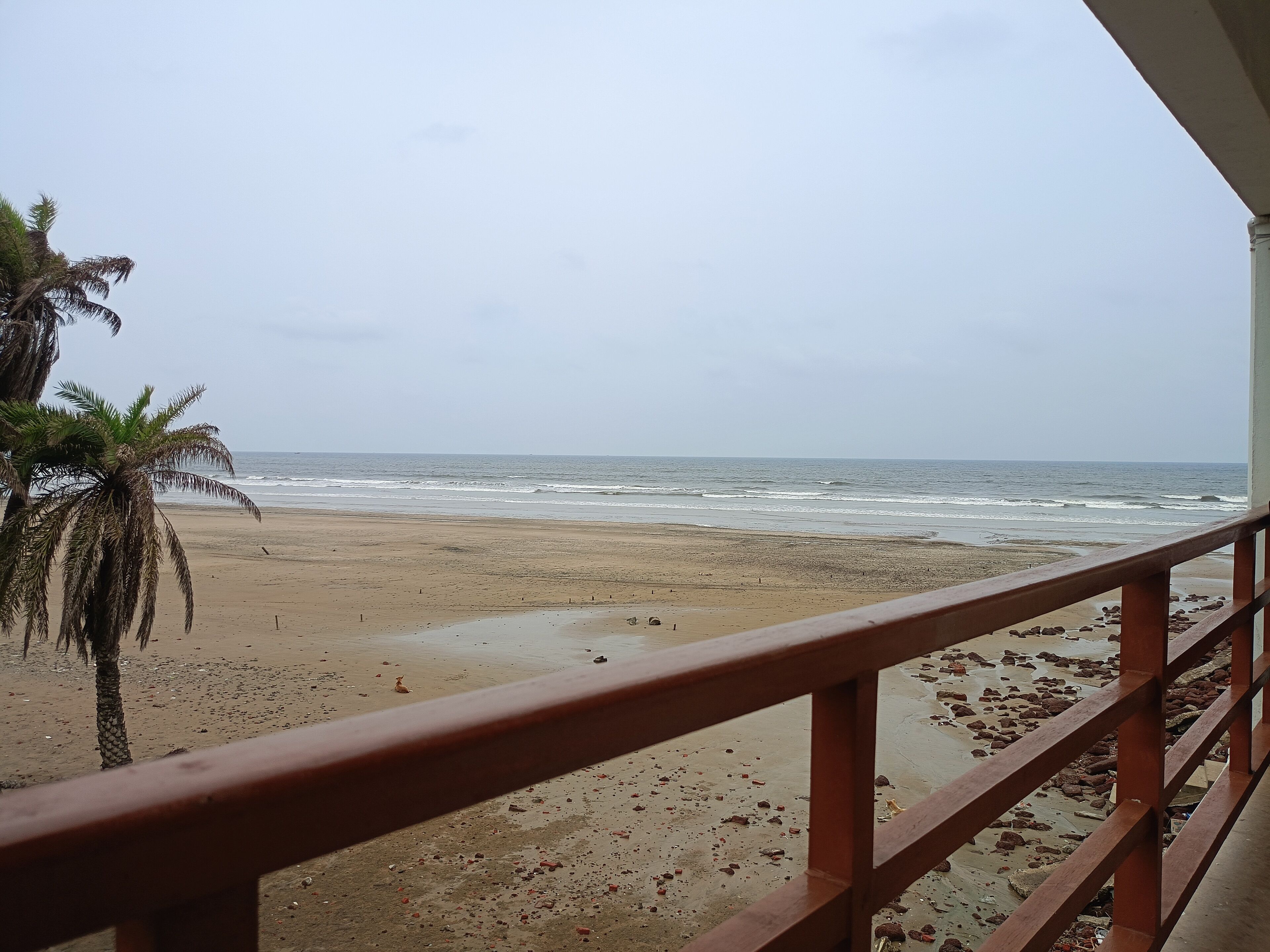 View from room