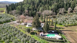 A villa with a swimming pool, surrounded by olive groves and cypress trees. - Wonderful private villa with private pool, WIFI, TV, patio, pets allowed and panoramic view (Castel Del Piano)