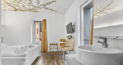 Magnifique chambre double au coeur de Sierre