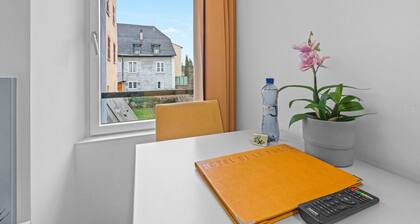 Cosy single room in the heart of Sierre