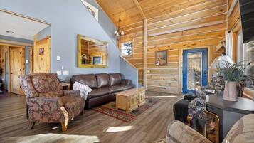 Smart TV, fireplace, books