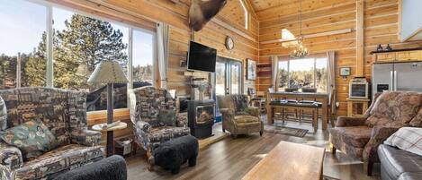 Smart TV, fireplace, books