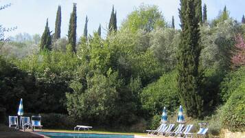 Seasonal outdoor pool, pool umbrellas, sun loungers