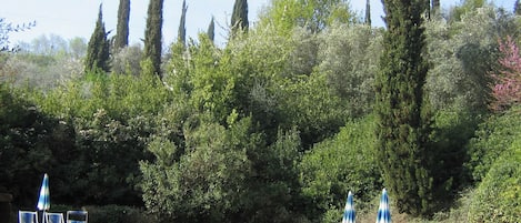Een seizoensgebonden buitenzwembad en parasols bij het zwembad
