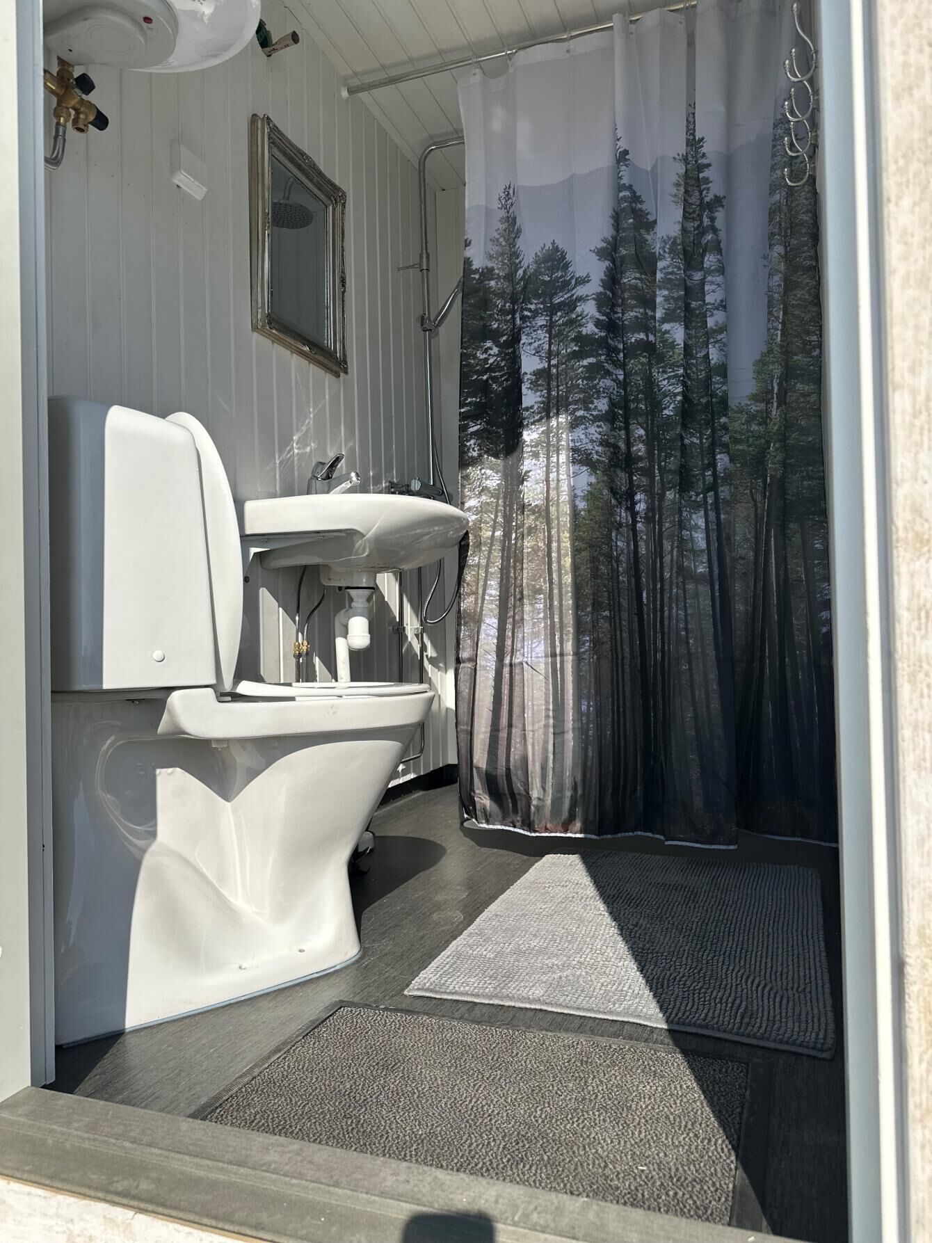 Shower, toilet paper