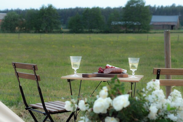 A table with a bottle of wine, a glass, and a plate of grapes and cheese in a grassy field.