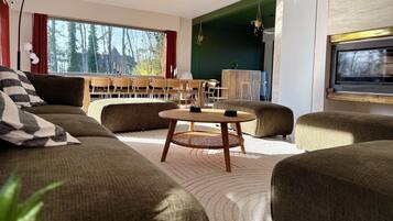 Télévision, cheminée, lecteur de DVD, livres