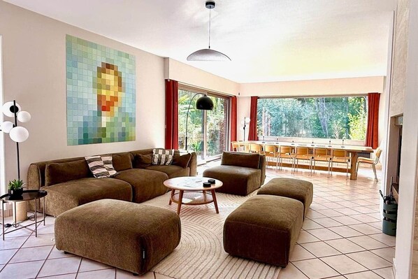 Télévision, cheminée, lecteur de DVD, livres