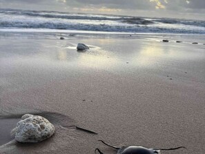 Una playa con arena fina, rocas dispersas y un mar tranquilo.