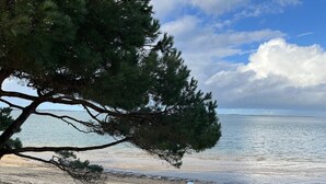 A beach with a tree in the foreground, a sandy shore, and a view of the sea. - Seafront T3 apartment with secure parking and WiFi (Arcachon)