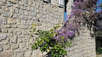 Détail de l’extérieur