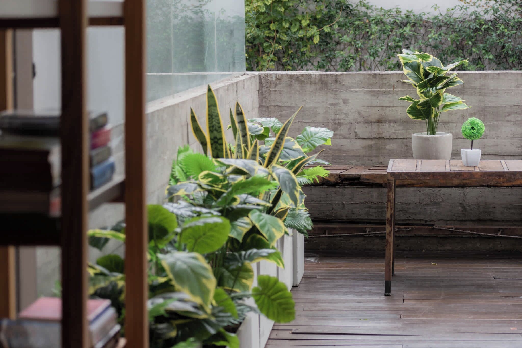 Terraza o patio