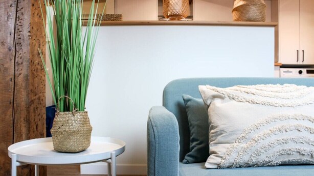 En stue med en blå sofa, et lille rundt bord og en potteplante.