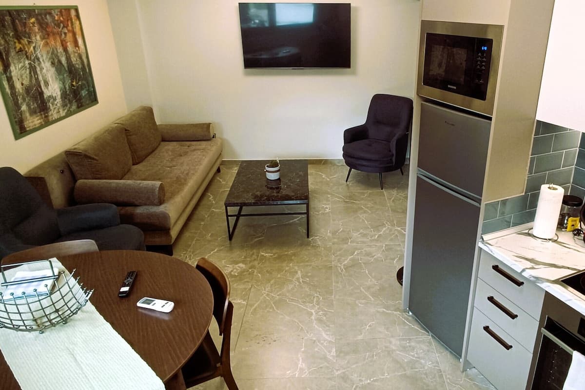 Un espace de vie compact comprenant un canapé, une table basse, une table à manger avec des chaises, un coin cuisine avec un four à micro-ondes et une cuisinière, et un téléviseur fixé au mur.