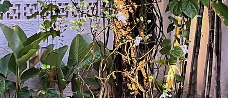 Detall de l'exterior