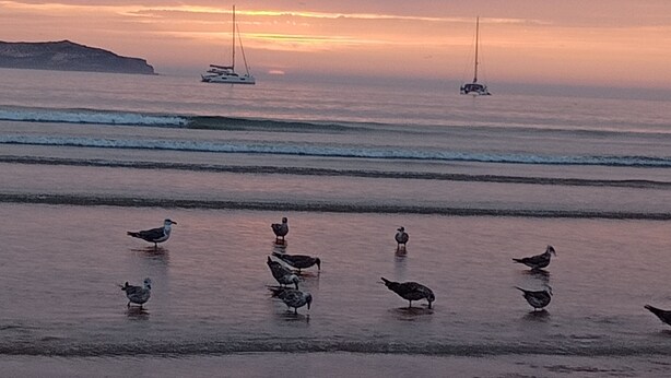 Strand
