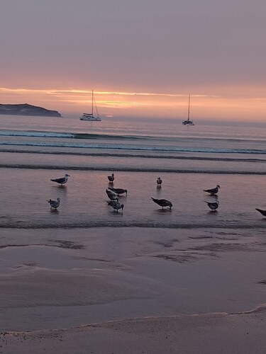 Serene apartment with WiFi in charming Essaouira