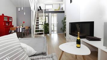 Télévision, cheminée, lecteur de DVD