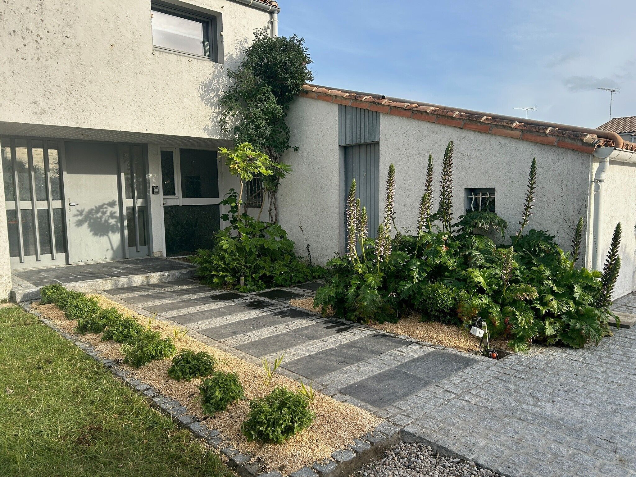A modern building with a stone pathway leading to a door, surrounded by greenery and a small garden.