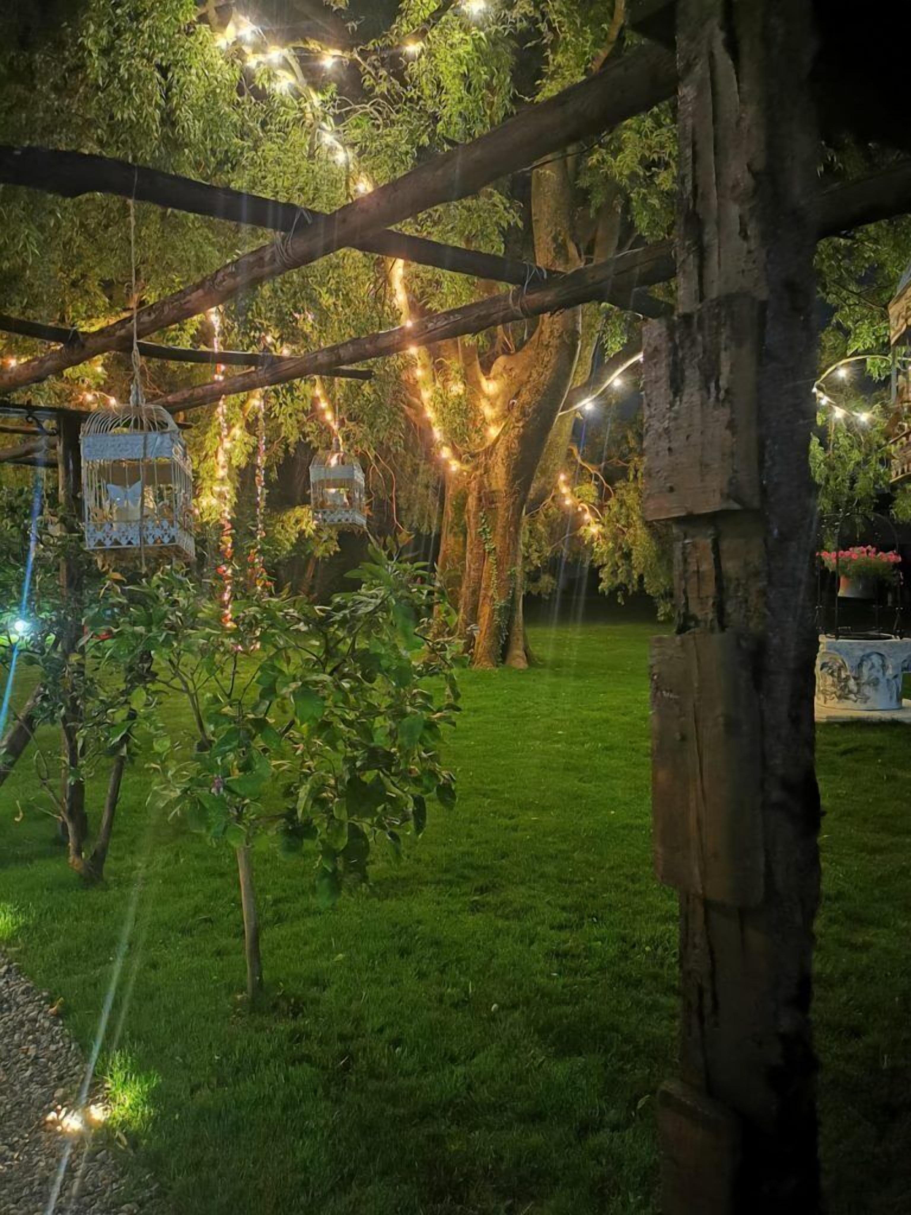 A garden with trees, string lights, and hanging birdcages.