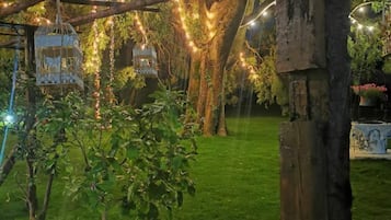 A garden with trees, string lights, and hanging birdcages.