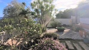 A garden with various plants and a small pond. - LE CLOS DE VAL - ACCOMMODATION - TERRACE SEA VIEW - HEATED SWIMMING POOL  (La Possession)