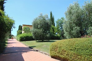 Exterior - Comiti Farmhouse - Apt. Cupola (Montaione)