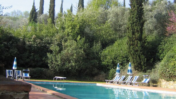 Piscina con sillas de descanso y sombrillas, rodeada de árboles y follaje.