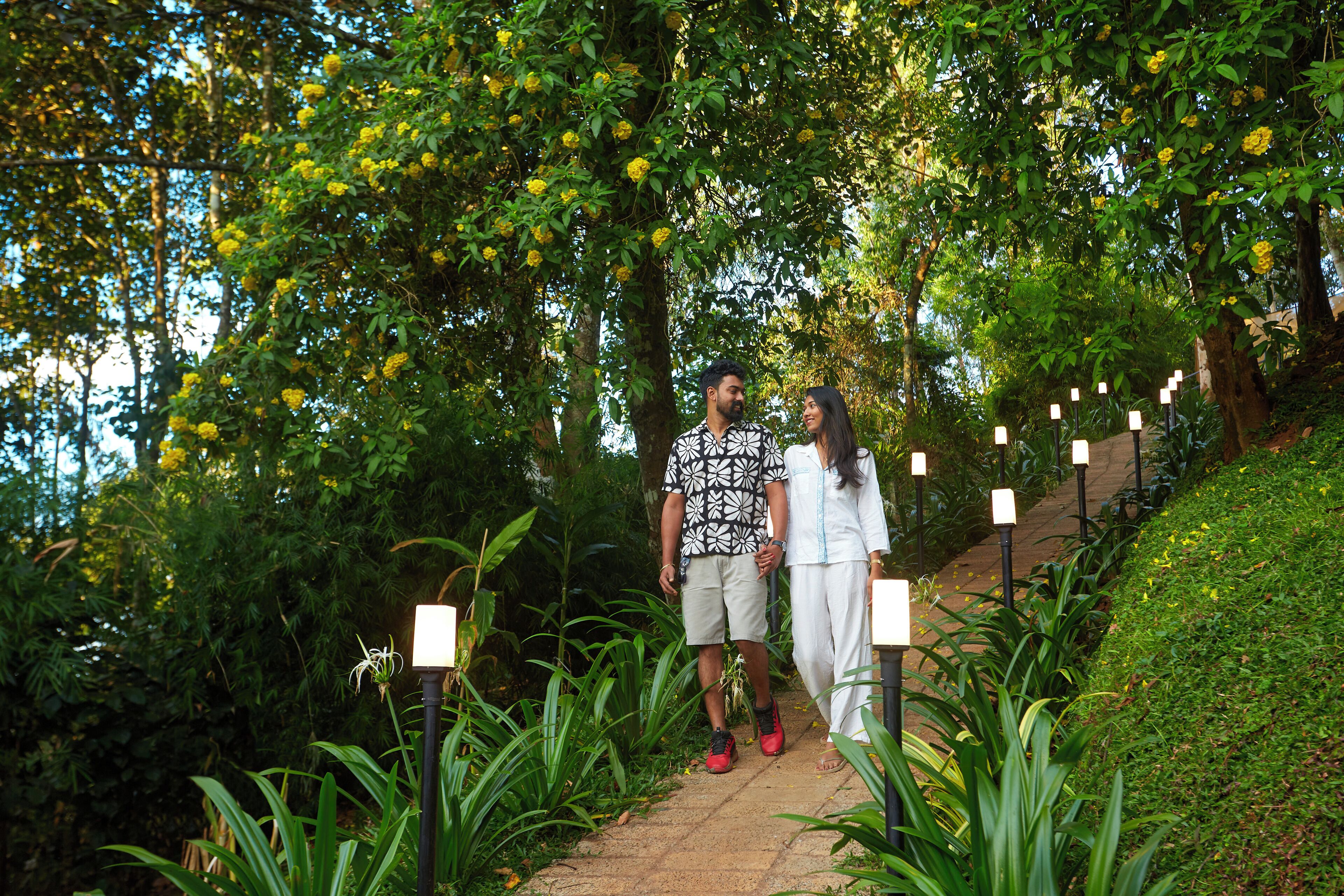 A pathway lined with plants and trees, leading to a structure with white pillars.