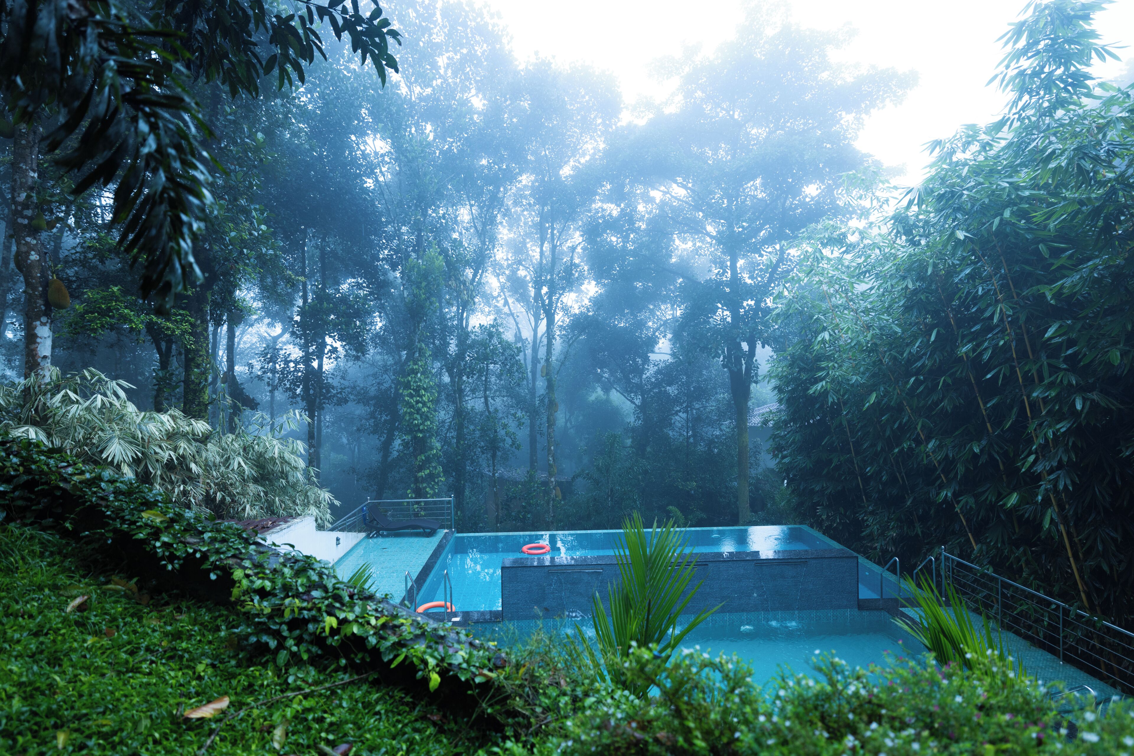 Zona de piscina rodeada de un bosque frondoso con cielo despejado.