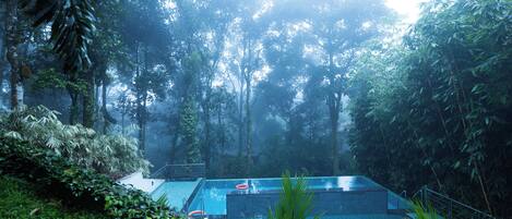 Zona de piscina rodeada de un bosque frondoso con cielo despejado.