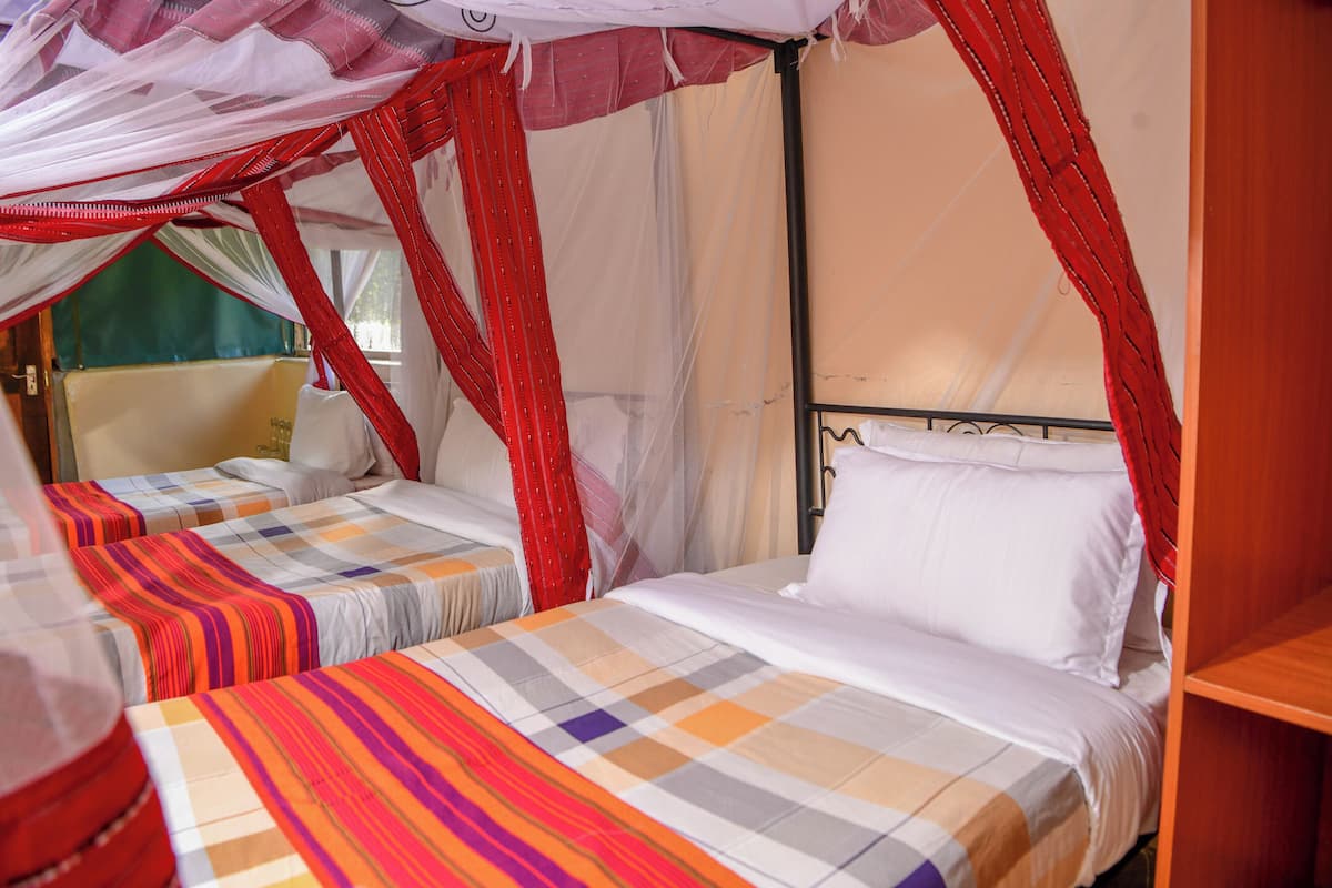 Triple Room, Patio