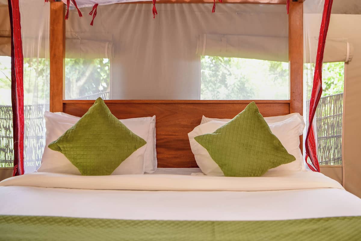 Single Room, Patio