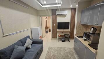 A modern living room with a sofa, a TV, and a kitchenette.