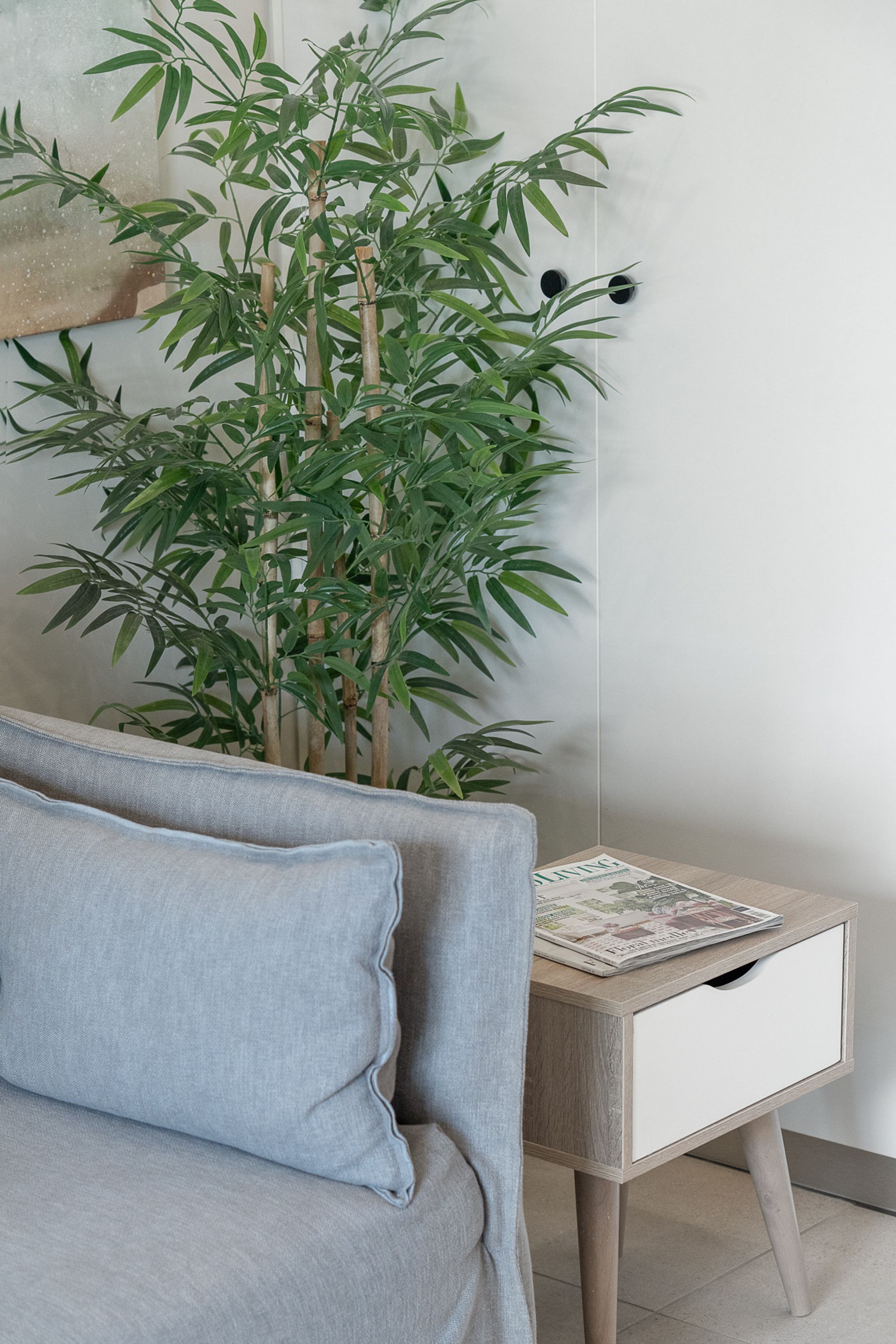 Uma sala de estar moderna com um sofá cinzento, uma mesa lateral de madeira com uma revista e uma grande planta de bambu.
