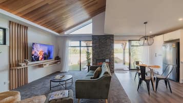 TV, fireplace