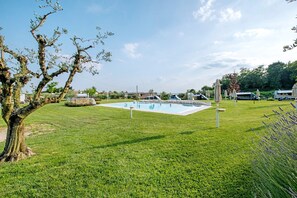 Una piscina circondata da un prato curato, con un albero grande e una fila di ombrelloni sullo sfondo.