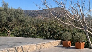 A swimming pool with a clear blue water, surrounded by a stone edge, with potted plants and a view of a hilly landscape in the background. - Pervola Private Stone Estate | 5 acres Exclusive Grove and Pool (gazion)