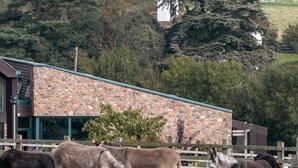 Une étable où des ânes paissent devant un bâtiment en pierre, protégé par une clôture en bois.