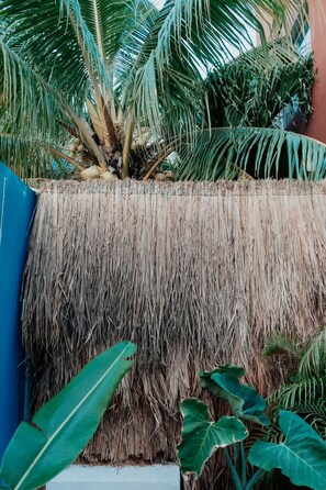 Hus | 1 sovrum och internet