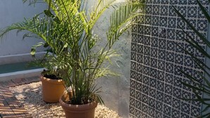 A potted plant next to a tiled wall with a shadow cast on the ground. - Charming Tulum House with Private Pool and Bikes (Tulum)