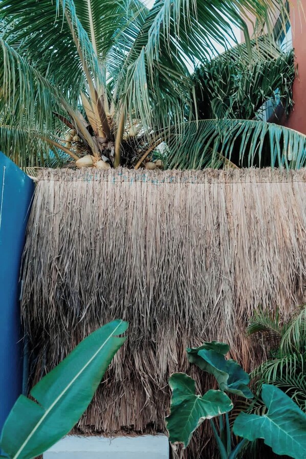 Exterior detail - Cute Downtown House with Private Pool & Bikes (Tulum)