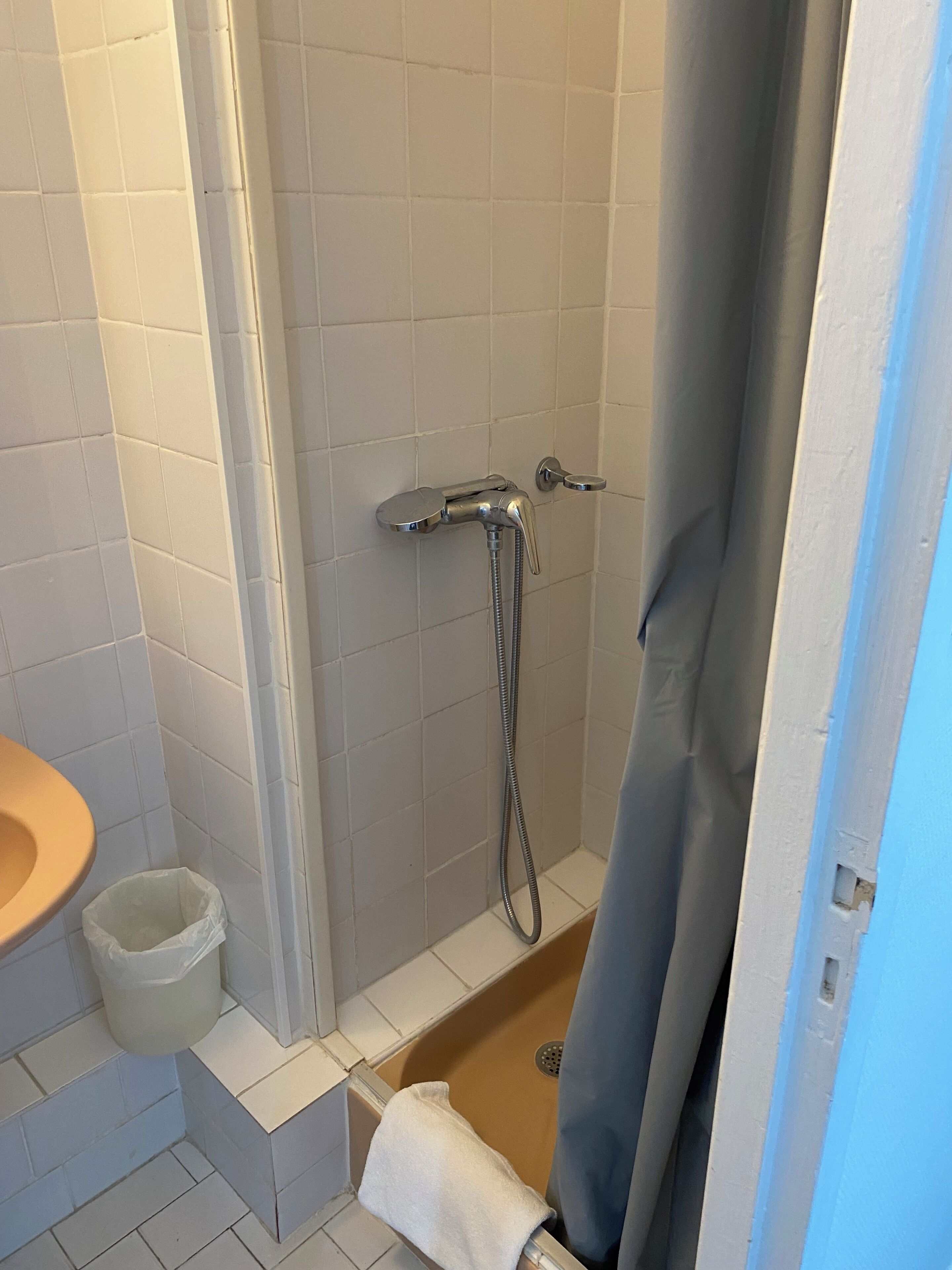 A shower area with a showerhead, a towel rack, and a toilet.