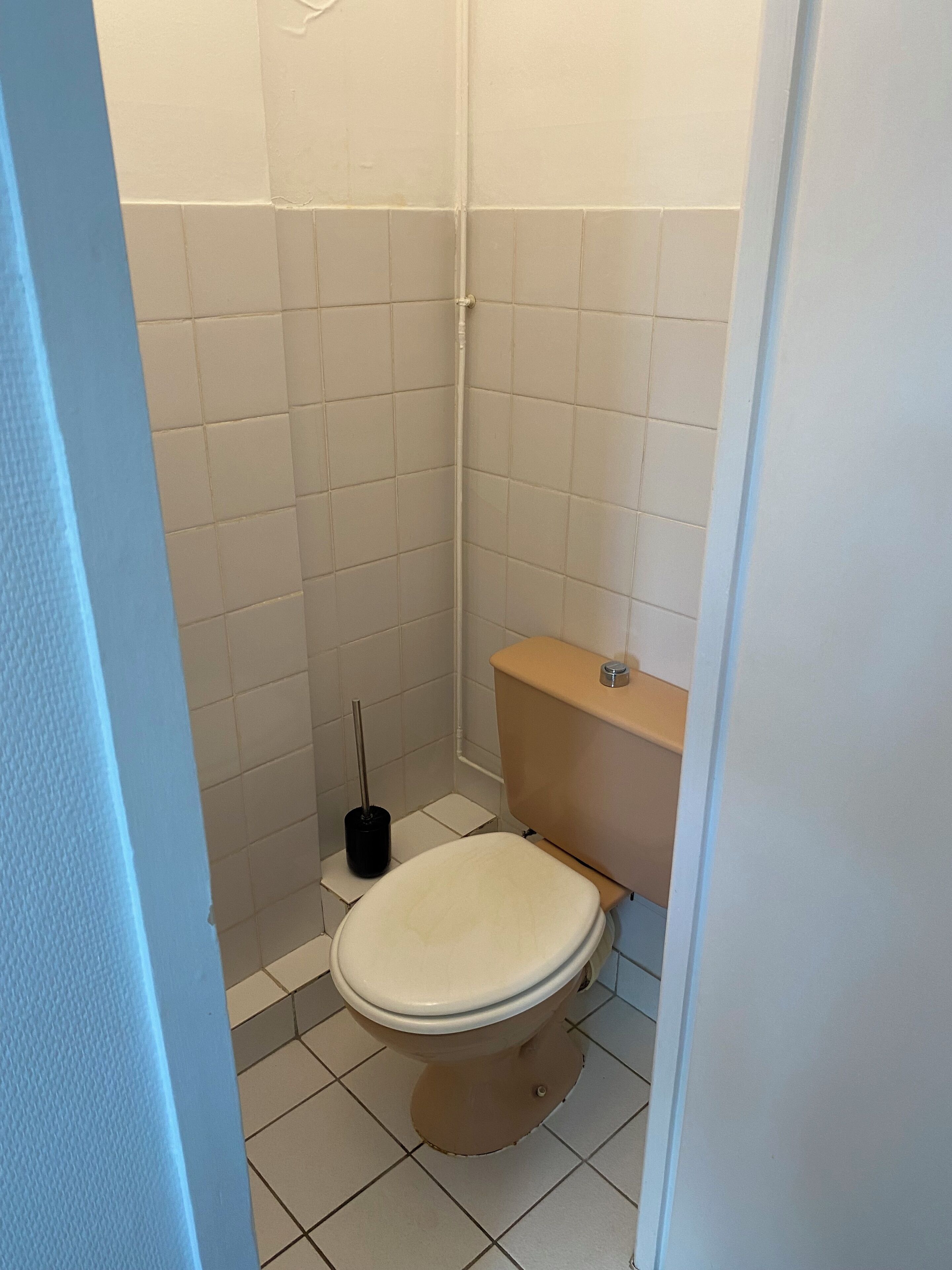 A small, compact bathroom with a toilet, a bidet, and a toilet brush.