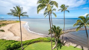 A beach view with palm trees, a grassy area, and a clear sky. - Menehune Shores, #118^ 3 Bedroom Condo (Kihei)