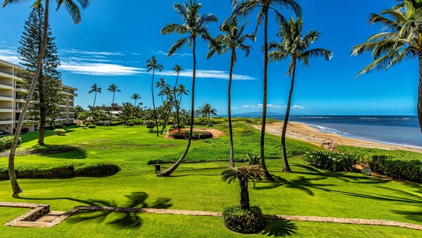 A well-maintained lawn with palm trees, a beach view, and a building in the background. - Menehune Shores, #118^ 3 Bedroom Condo (Kihei)